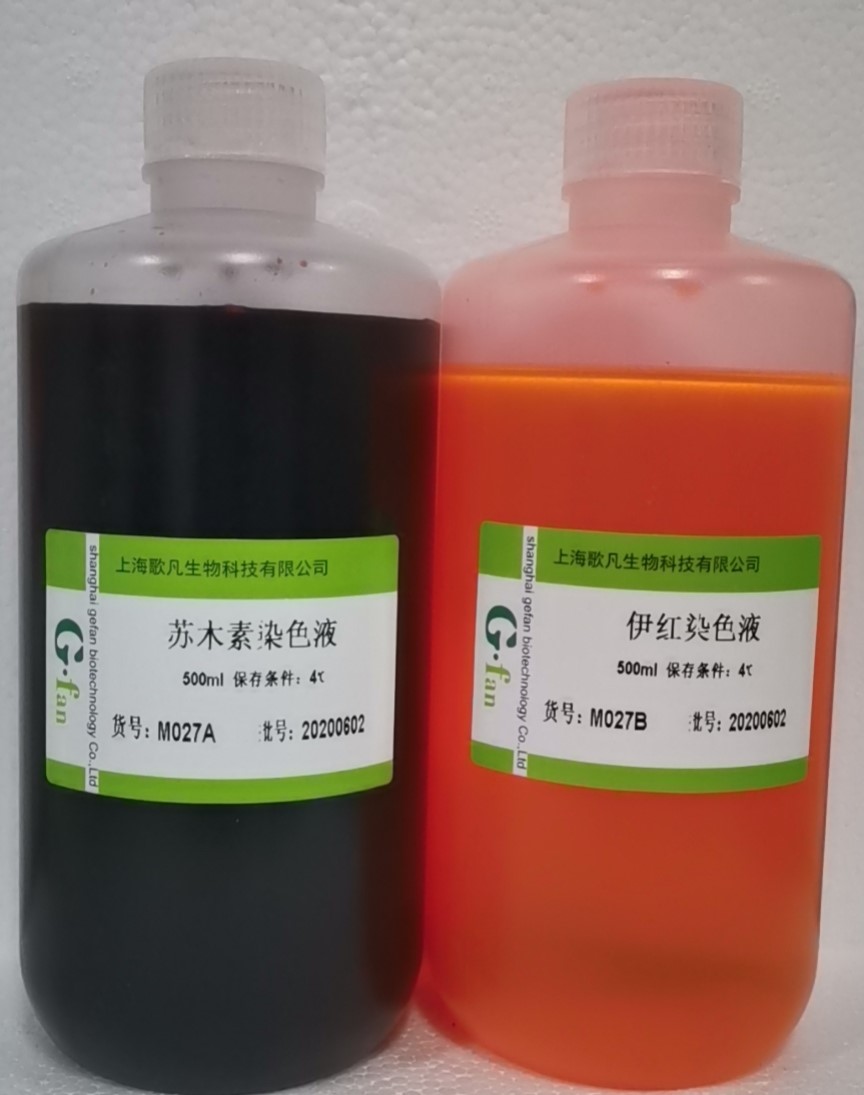 伊红染色液