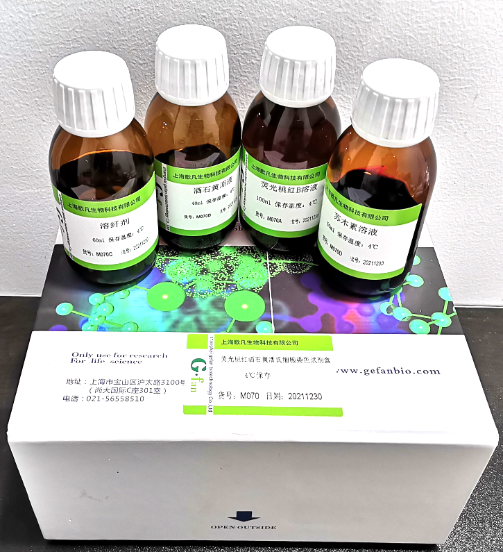 神经胶质染色试剂盒