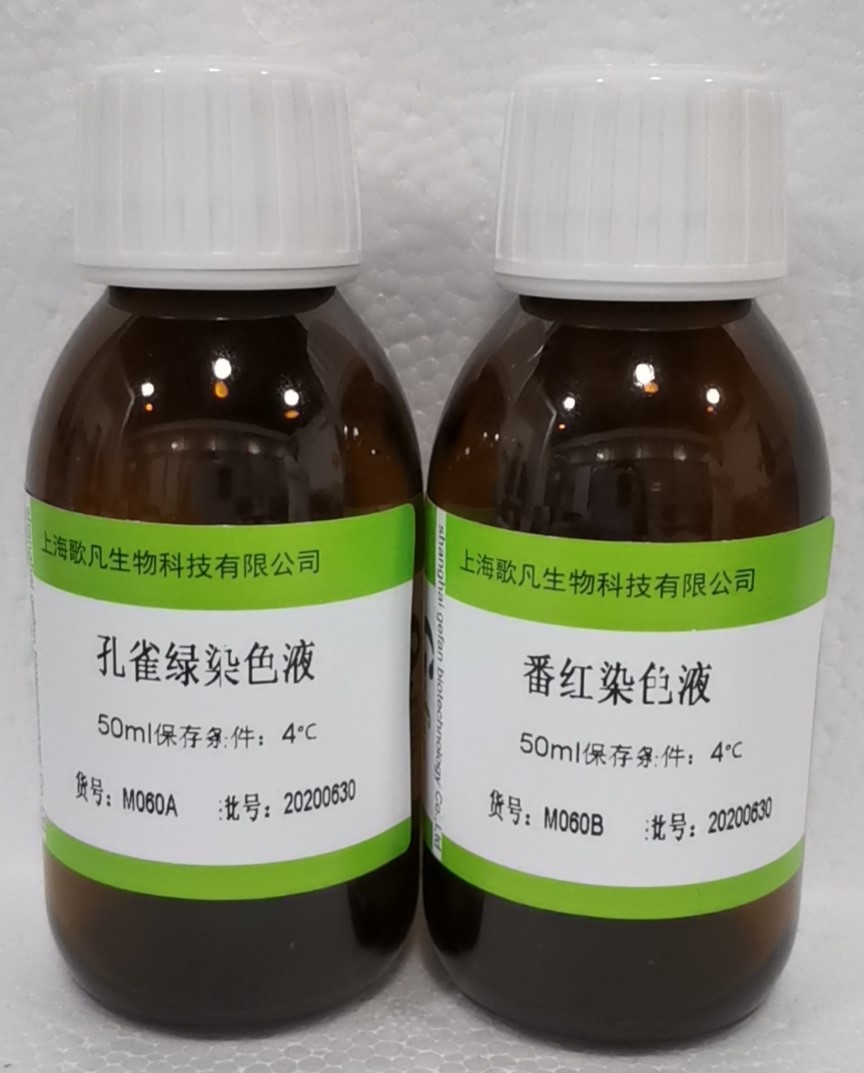 芽孢染色试剂盒