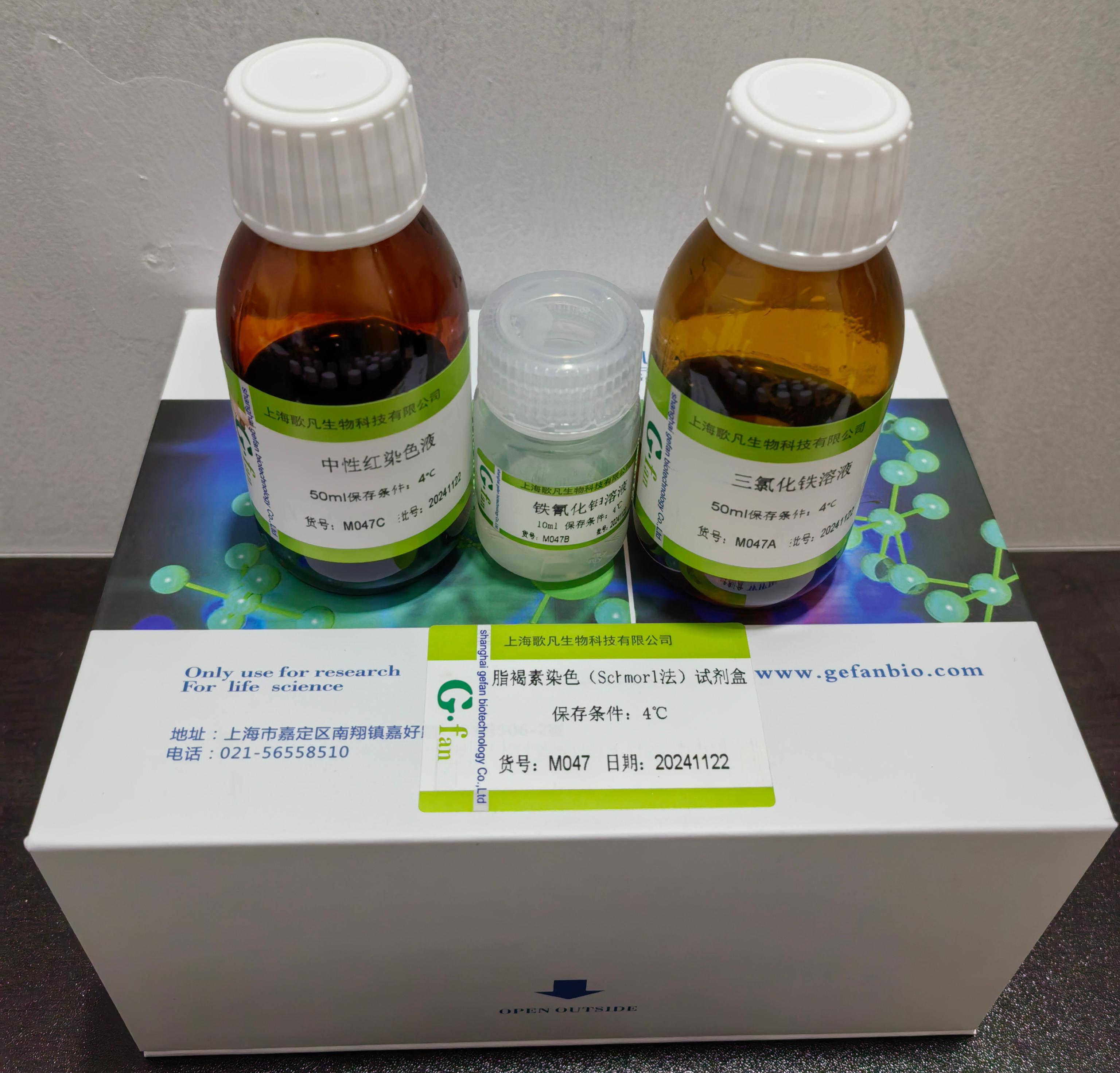 脂褐素染色试剂盒